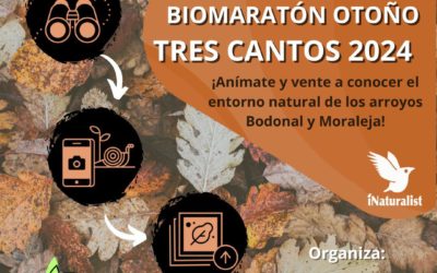 Biomaratón Otoño en Tres Cantos